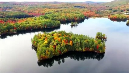 Miracle Drug - I should love you ft. Junoir Paes (Ailiva cover)