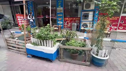 İstanbul- Sultangazi'de ağaç hırsızlığı kamerada