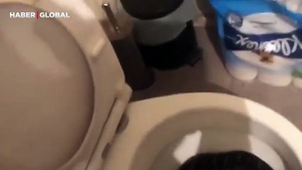 Tuvaletten çıkan devasa pitonu eliyle aldı: "Alışkınım"