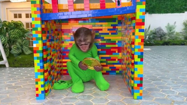 monkey babies | monkey | monkeys | funny