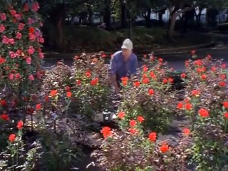 セーラー服反逆同盟第05話：学園に幽霊出現!? 驚きの真実が明らかに👻