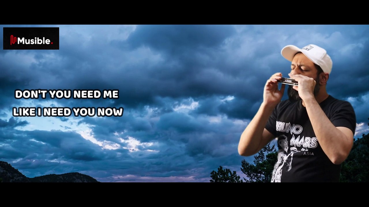 ROSÉ & Bruno Mars - APT.| Harmonica Cover #harpmanofperth #brunomars #rose #harmonica #dailymotion #cover Song