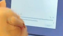 “cutecats” #funny #funnyvideo #funnyanimals #funnyshorts #cat #cutecat #funnycats