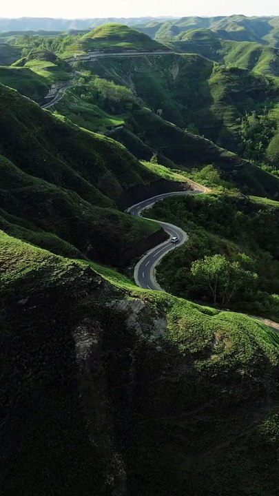 The road view