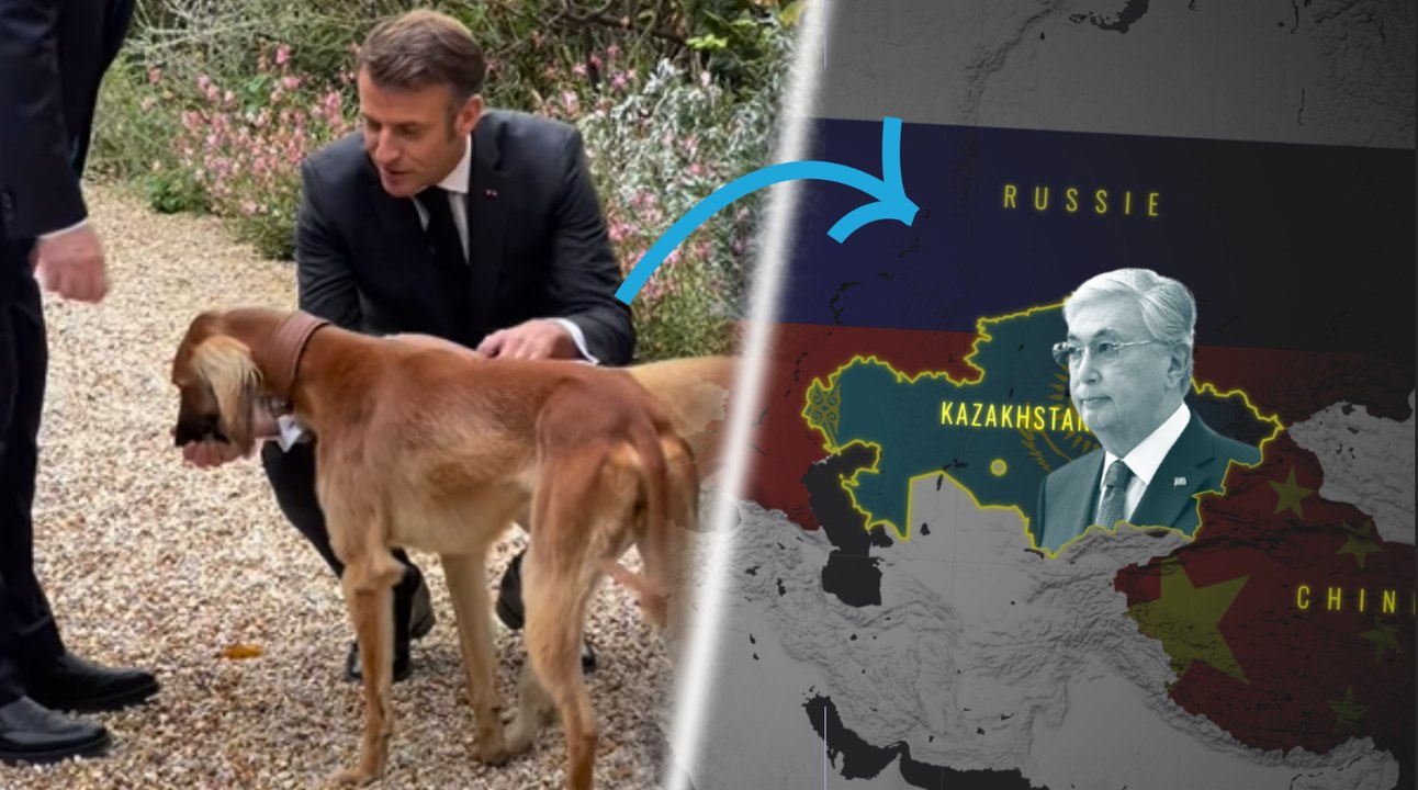 Lévriers offerts par le Kazakhstan à Macron : le symbole d’une alliance stratégique