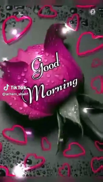 VID-20241104-WA0000