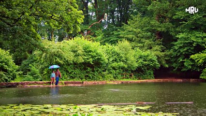 Girl Investigates Her Friend’s Death But The Entire School is Involved Even Her Sister