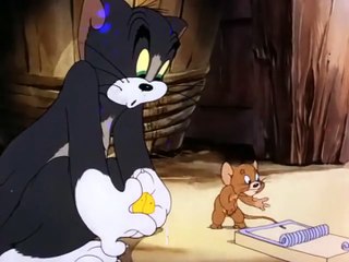 Tom And Jerry - Fine Feathered Friend
