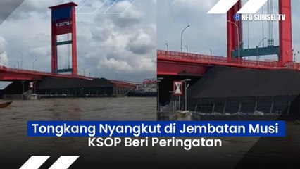 Air Pasang, Tongkang Batu Bara Nyangkut di Jembatan Musi II, KSOP Beri Peringatan !