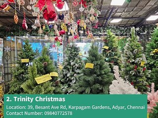 Top 10 Christmas Tree Shops in Chennai