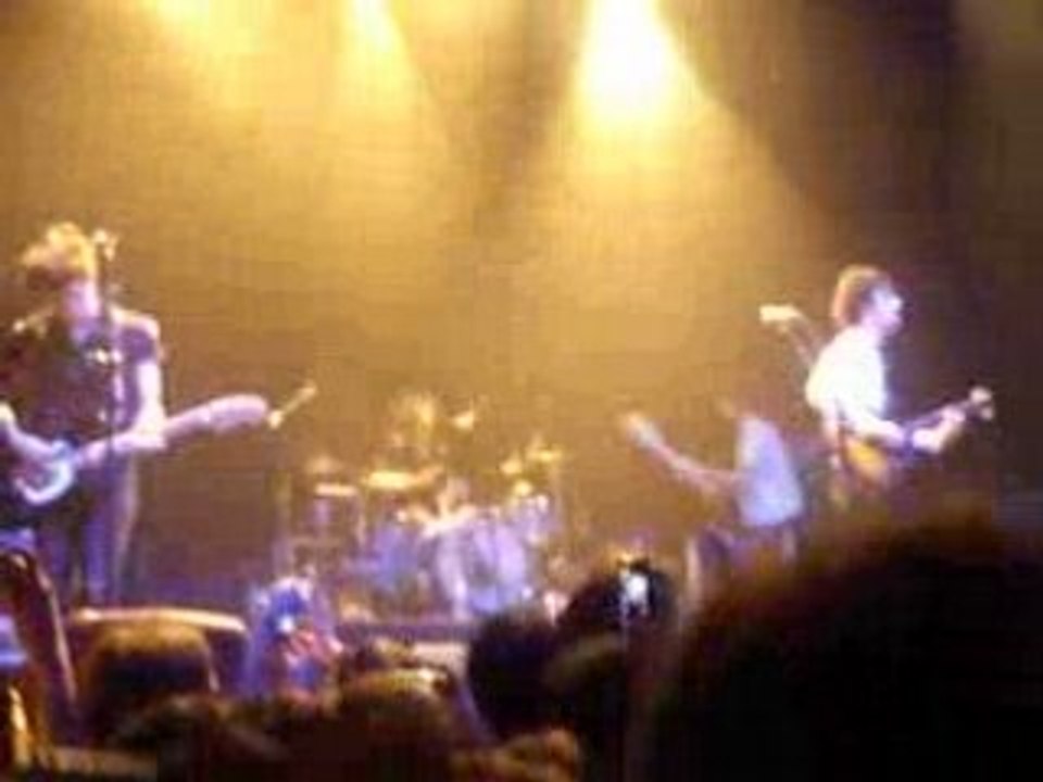 Confusions printanieres BB Brunes cigale paris 23/04