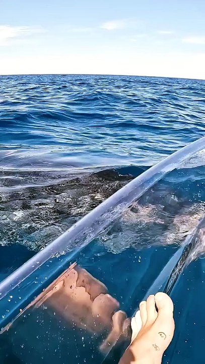 transparent kayak in deep water really does hit different.._