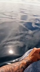 venomous sea snake got me good.._