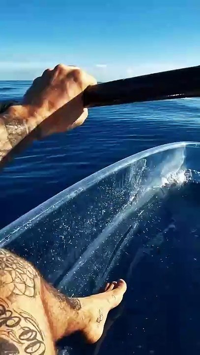 welcomed visitors in the deep blue.._