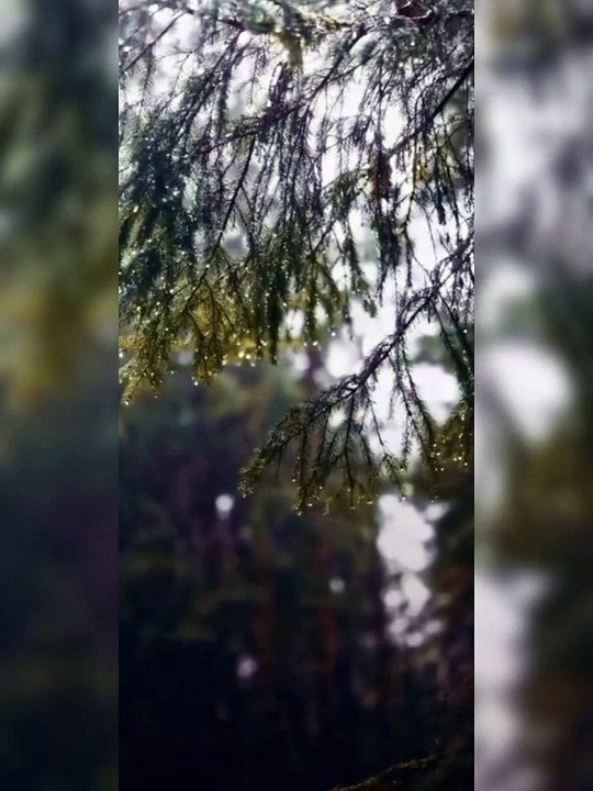 Feel the rain water