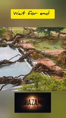 Hollywood's Most Dangerous Shot Scene 😱