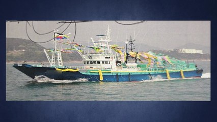 해경 "금성호, 3회 이상 조업 어획물 한 번에 잡아" / YTN