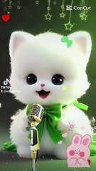 Mini cat for nic soog