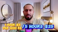 truelancer writing earning