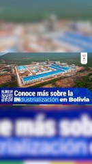 ATB Informa Voluntariado Los Chuñitos ayudan a perritos en situación de calle (3.)