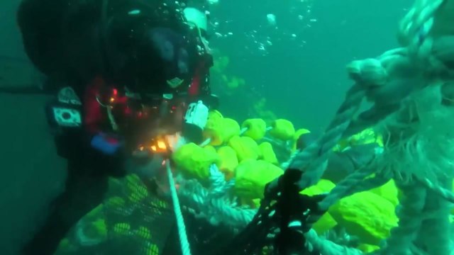 [속보] 제주 해상 침몰 금성호 실종자 추정 시신 1구 발견 / YTN