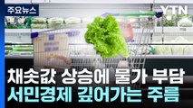 상추 60%나 비싸져...채솟값 상승에 서민경제 '주름' / YTN