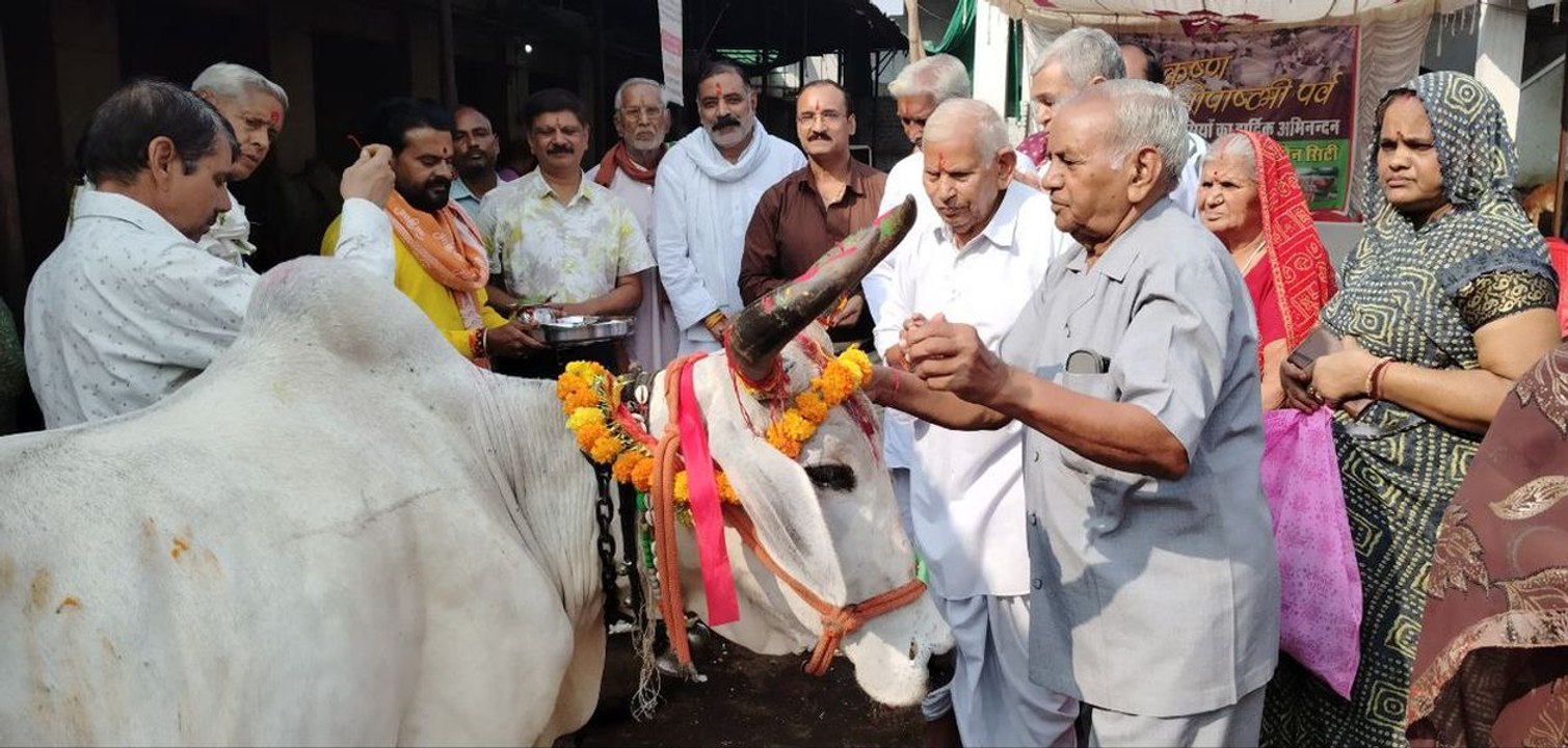गोपाष्टमी पर गौ माता का किया शृंगार, पूजन कर उतारी आरती