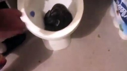 Banyoya giren adam klozette yılanı görünce bakın ne yaptı?