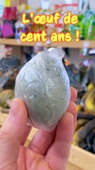 Découvertes culinaires et astuces de voyage quotidiennes 🌍