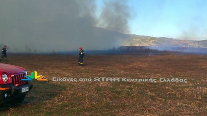 Φωτιά στον Ορχομενό