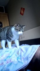 Get Up It’s Time To Eat