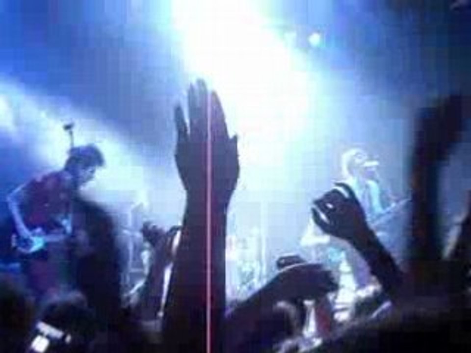 Confusions printanieres BB Brunes cigale paris 23/04