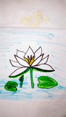 How to draw Water lily easy for kids