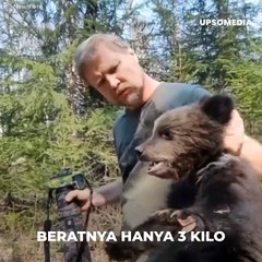 Kisah seekor bayi beruang dan anjing Labrador yang menyelamatkannya