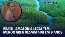 Amazônia Legal registra menor área desmatada em nove anos