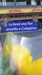 Flores amarillas para Colapinto (@FranColapintoF1)