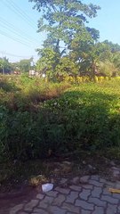 Natural view #beautiful