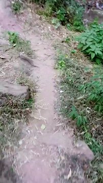 Huge Hiking On The Hills