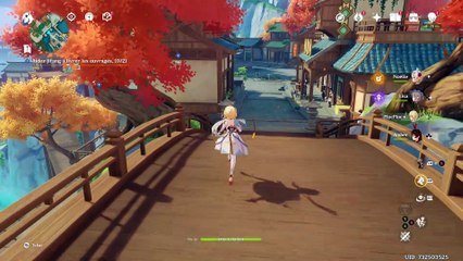 Genshin Impact Richesse littéraire