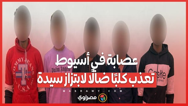 حادثة تعذيب كلب ضال في أسيوط تثير غضبًا واسعًا .. ما الذي دفع العصابة لهذا الفعل؟