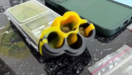 Pinheirinho de Natal e trufa de maconha; dupla é detida pela PM no Centro