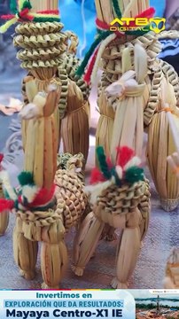 Catalina realiza y vende bellos adornos hechos de totora 23. ATB Informa