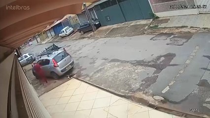 Mulher é presa após chutar, atropelar e matar gato em Ceilândia