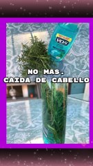 sabias de los beneficios del shampoo de romero