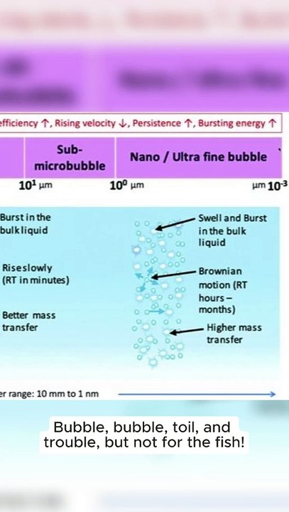 Singapore UFB Lab's Innovative Nano Bubble System for agriculture irrigation, aquaculture, horticulture, industrial cleaning, wastewater treatment applicaiton in Singapore/Malaysia/Indonesia/Vietnam/Philippine/Thailand|https://ufblab.c2csingapore.com