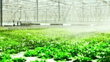 Exploring the Benefits of Nano Bubble Generators for Singapore-Malaysia-Indonesia-Thailand-Philippine-Vietnam Market for agriculture irrigation, aquaculture, horticulture, industrial cleaning, wastewater treatment application