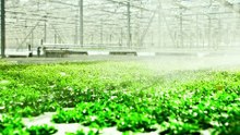 NanoX Nano Bubble Generator for agriculture irrigation, aquaculture, horticulture, industrial cleaning, wastewater treatment application
