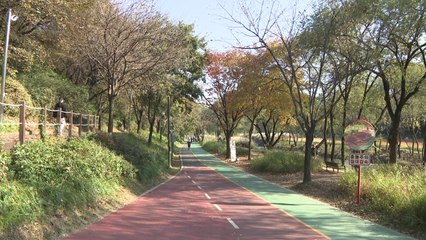 [날씨] 휴일 예년보다 온화, 일교차 주의...남해안·제주 비  / YTN