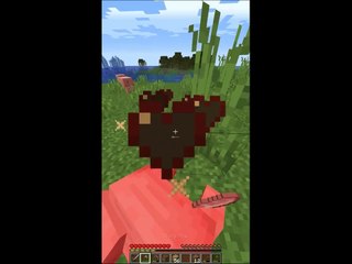 Minecraft, But I Can't Touch Any Color Compilation