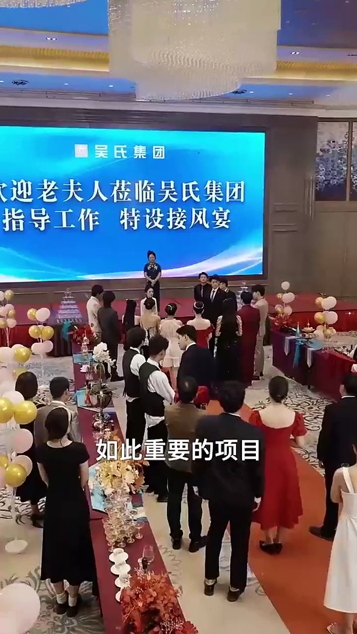 总裁老妈惊艳全世界